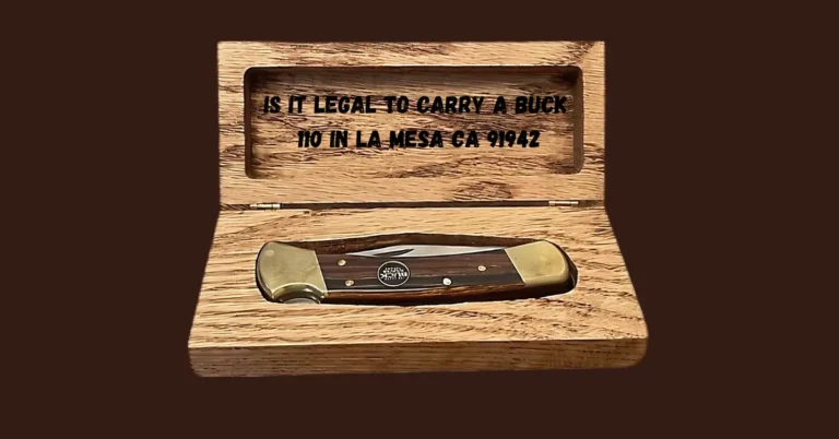 Is It Legal to Carry a Buck 110 in La Mesa, CA 91942? Know the Rules